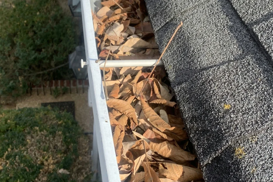 Gutter Cleaning Norfolk