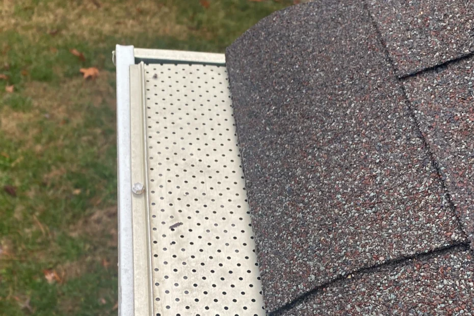 Gutter Cleaning Norfolk